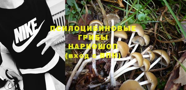 трава Куйбышев