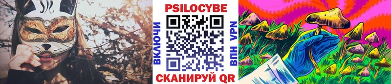 Купить  Гусь-Хрустальный  Галлюциногенные грибы MAGIC MUSHROOMS 